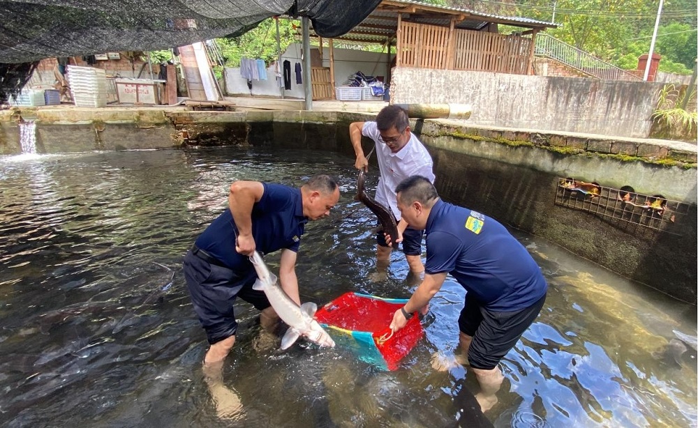 尊龙官方网站 - (中国区)首页